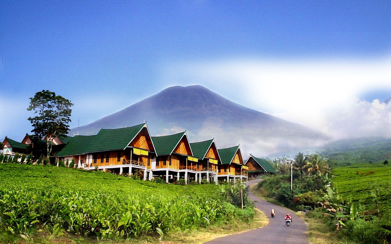 Pagar Alam Kembangkan Gudang Teh Gunung Dempo Jadi Destinasi Wisata Unggulan
